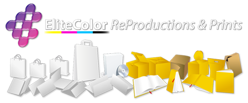 NewYearCard_2025_No BG+SD_500